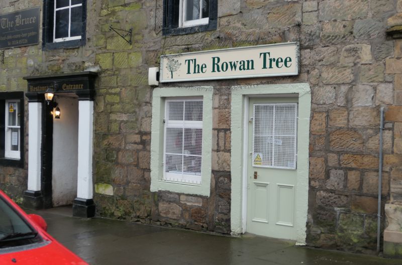 File:Rowan Tree.JPG